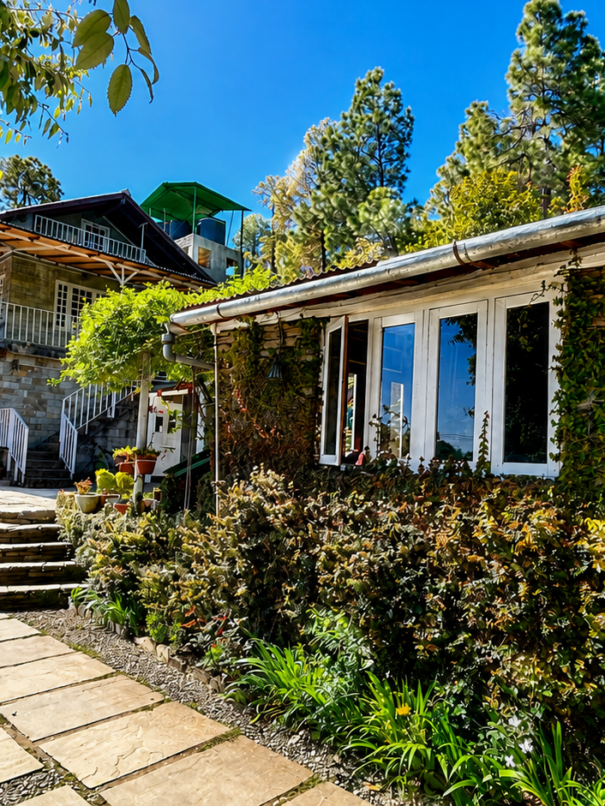 Frozen woods resort Mukteshwar