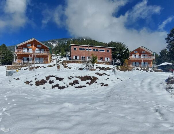 Snowfall at pangot